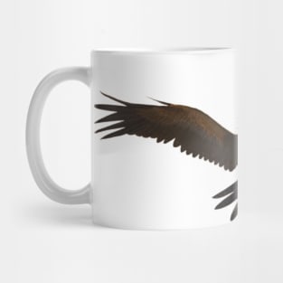 Australian Wedge-Tailed Eagle Mug